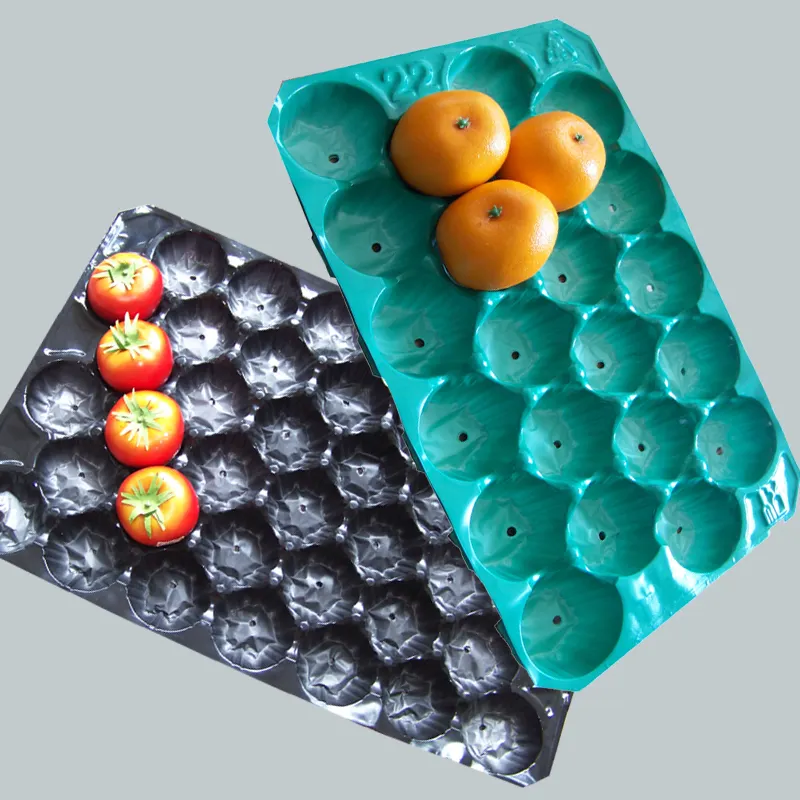 Plastic Gegoten Fruit Pp Trays Voor Transport En Verpakking