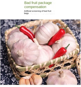 <span class=keywords><strong>Ajo</strong></span> Entero Cultivado en Granja, a Granel, 2.50 kg, 4cm-5cm, Fruto Grande, Seco, <span class=keywords><strong>Morado</strong></span> y Blanco de Fujian, Horneado, 1 Año de Duración - Product Image 6