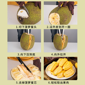 Stainless Steel Jackfruit <b>Splitter</b> Fruit Opener Core Extractor Tool 1-Pack - Product Image 4