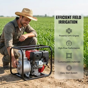 Bomba <span class=keywords><strong>de</strong></span> Transferencia <span class=keywords><strong>de</strong></span> Gasolina para Aplicación <span class=keywords><strong>de</strong></span> Productos Químicos Agrícolas y Distribución <span class=keywords><strong>de</strong></span> Fertilizantes Líquidos - Product Image 2