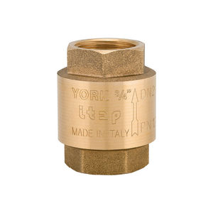 Válvula de Retención York de 3 Pulgadas DN80 8 Bar para Válvulas de Descarga - Product Image 1