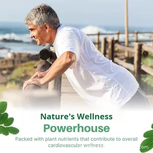 Yetişkinler için en çok satan Moringa toz kapsülleri OEM destekli sağlık - Product Image 5