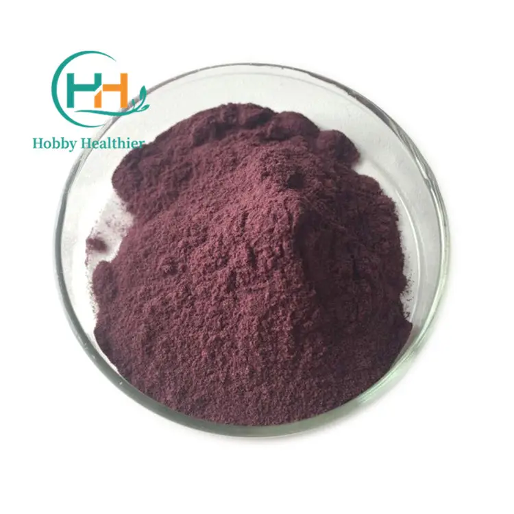100% Brazilian Acai Berry Water Soluble Anthocyanins Organic Natural Fruit Acai Berry Powder for Beverage Food