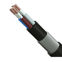 Câble d'alimentation basse tension blindé en PVC isolé en PVC 0,6/1 kV 1-185 mm² à 4 conducteurs en cuivre simple