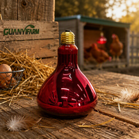 Lampe chauffante infrarouge rouge haute intensité 250W 120V E27 étanche pour l'élevage de volailles et l'alimentation en chaleur des animaux de ferme