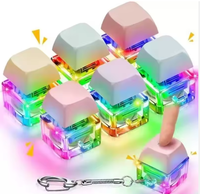 Trending Products 2026 New Arrivals Plastic Key Chains Suitable for Storing Keys