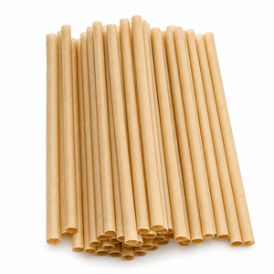 Pajitas Biodegradables Ecológicas Resistentes y Sostenibles a Base de Plantas, Pajitas de Caña de Azúcar de 8 mm con Envoltorio Individual - Product Image 3