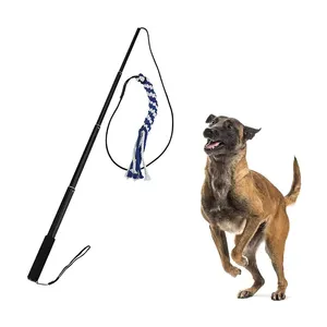 Mainan Anjing Interaktif Isi Ulang Remote Teirt Pole Anjing Mengejar Permainan Sembunyi Mencari Anak Anjing Kecil Anak Interaktif Mainan Anak Anjing