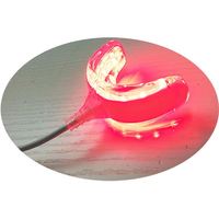 Kit de blanchiment des dents professionnel dans le bureau dentaire USB Type thérapie par la lumière LED autre accessoire de blanchiment des dents