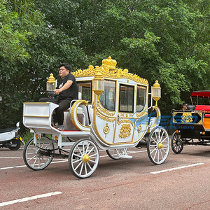 Nuevo carruaje de caballos real de lujo para exteriores, carruaje eléctrico romántico de <span class=keywords><strong>Cenicienta</strong></span> real, carruaje real eléctrico chino - Product Image 6