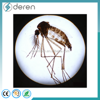 Medical Parasitology Glass Microscope Prepared Slides for Zoology Parasite Teaching-Deren DRPR