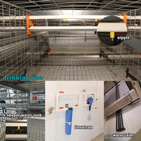 Système de cages à poulets en H entièrement automatique, 3 à 12 niveaux pour plus de 10 000 oiseaux, équipement d'élevage avicole galvanisé à chaud