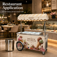 Congélateur de présentation de crèmes glacées de style Pozzetti à 4/6/8 bacs, en acier inoxydable, certifié CE, équipement de restaurant, construction haut de gamme, excellente qualité