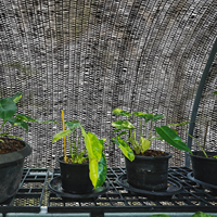 Filet d'ombrage en HDPE avec protection UV, taux d'ombrage de 30%-95%, durée de vie de 5 à 10 ans pour l'agriculture, les jardins et les serres