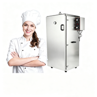 Petit fumoir à viande et aliments, machine à fumer les saucisses, type four à fumée
