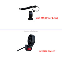 14.5 pouces électrique Brushless Gear Hub Motor Set 24V 36V 48V 250W-500W Bldc Hub Motor System Controller Throttle Brake Kits