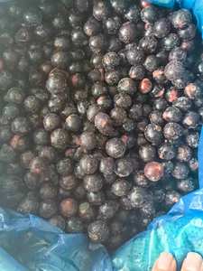IQFオーガニックフリーズ乾燥ブラックベリーフレッシュで無糖バルク卸売り - Product Image 2