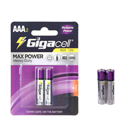 Piles au carbone-zinc R03 (AAA) 1,5 V, modèle micro, Maxpower, haute puissance, pour jouets, horloges, télécommandes