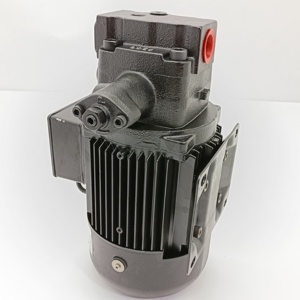 Motor Hidráulico UVN-1A-1A2-15A-4-10 UVN-1A-1A4-22-G23-6063B UVN-1A-0A4-1.5-4-12 Bomba de Aceite Combinada con Motor UVN-1A-1A3-22E-4DU-6313 - Product Image 1