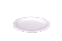 Assiettes jetables en canne à sucre de 10 pouces, robustes, compostables, écologiques, modernes, fabriquées par Shandong-Just Bio Disposable