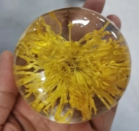 Sabun Pemutih OEM Kojic Acid Kunyit Gluta Sabun Mandi Sabun Cuci Muka Sabun Bunga Alami Sabun Telur
