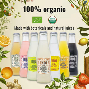 Bière au gingembre biologique fabriquée en Espagne, boisson gazeuse espagnole biologique USDA artisanale, faible en calories, Refresco 200ml - Product Image 6