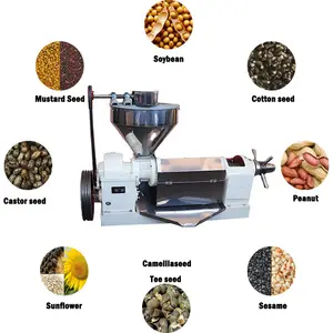 Cold Sesame Oil Squeezing Machines Peanut Oil Expeller Oil Press Machine