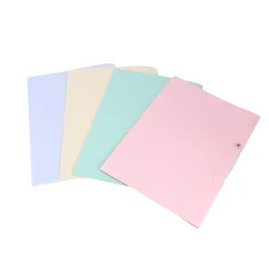 Customized A4 Pastel Color PP Folder Swing Clip File Folder PP Plastic for Office Stationery Clip