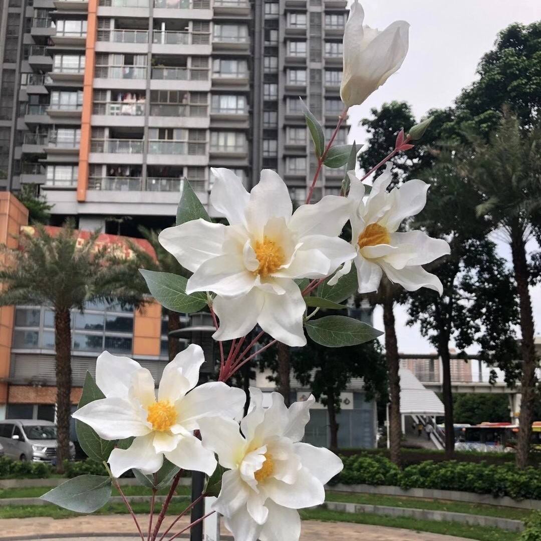 105#5 head big magnolia white