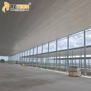 Endonezya 30000 tavuklar çiftlik otomatik kanatlı kafes ekipmanları çevre kontrolü ile katman yetiştirme sistemi - Product Image 5