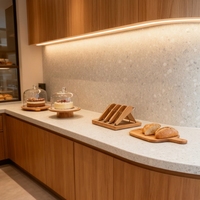 Dalles de terrazzo en pierre artificielle personnalisées, résistantes à l'usure, design moderne pour les sols d'hôtels et d'appartements