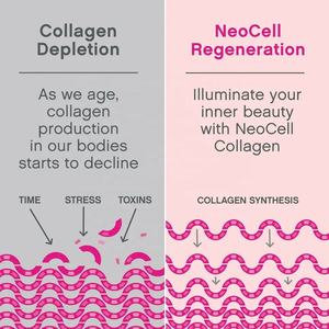 Integratore di Collagene Idrolizzato in Polvere OEM Etichetta Privata Tipi 1 e 3 per Pelle, Capelli e Unghie - Product Image 5
