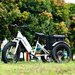 popular 48v battery cycle 3wheel 7 speed three wheel electric bike 3 wheel bike