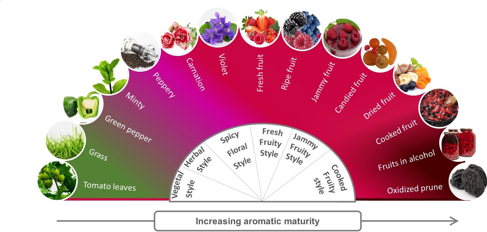 Contact me to get the catalog