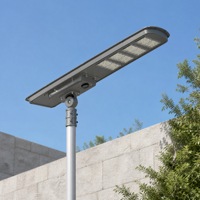 Lampadaire solaire tout-en-un 15000 lumens avec télécommande et minuterie, certifié CE RoHS FCC pour projets municipaux