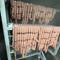 Aimeida Nouveau Four de Fumage à Froid Commercial Automatique Triple Fonction Écoénergétique à Vapeur en Acier Inoxydable pour la Transformation de la Viande