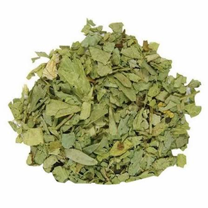 Poudre d'extrait botanique pur de feuilles de séné – Ingrédient végétal premium pour formules bien-être, compléments alimentaires et produits naturels - Product Image 3