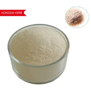 Factory Supply Organic Psyllium Husk Extract Dietary Fiber Powder Food Grade Psyllium Husk Powder