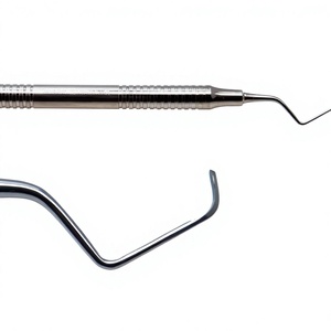 Removedor Dental de Acero Inoxidable de Alta Calidad, Instrumento Periodontal de Doble Extremo, Juego de 2 Piezas, Manual para Clínicas Dentales - Product Image 3