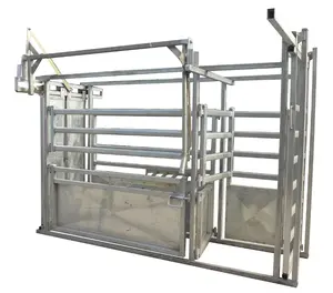 Australian farm special animal husbandry cattle neck clamp, cattle weighing
