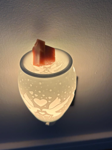 Réchauffeur de cire murale à motif de <span class=keywords><strong>pigeon</strong></span> en céramique, diffuseur de parfum d'huile essentielle, désodorisant à motifs multiples - Product Image 3