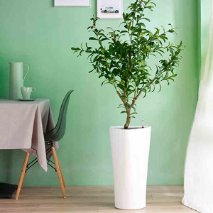 Florero grande ecológico para interior, Macetas de plástico con forma <span class=keywords><strong>triangular</strong></span> de Hotel de lujo, para sala de estar - Product Image 2