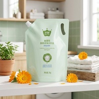 Pochette souple personnalisée avec bec verseur, imprimée en héliogravure, durable, mate, étanche, recyclable, écologique, pour recharge de détergent liquide