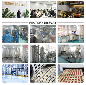 Poudre Énergisante Super Calm aux Électrolytes - Boisson Mixte avec <span class=keywords><strong>Magnésium</strong></span>, Sodium et Potassium pour l'Hydratation - Product Image 5