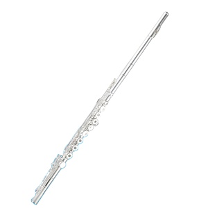 <span class=keywords><strong>Flauta</strong></span> de doble acción de 16/17 llaves, llave E, llave C, plateada, de grado <span class=keywords><strong>profesional</strong></span>, para exámenes, actuaciones y otros usos, suministro transfronterizo - Product Image 2