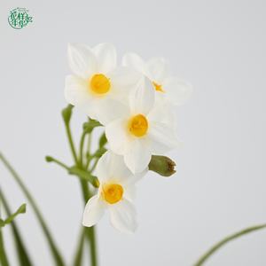 <span class=keywords><strong>Fleur</strong></span> <span class=keywords><strong>de</strong></span> narcisse artificielle en soie <span class=keywords><strong>de</strong></span> 43 cm, design à 4 têtes, vente en gros directe d'usine pour une décoration <span class=keywords><strong>de</strong></span> table élégante, décoration <span class=keywords><strong>de</strong></span> maison et <span class=keywords><strong>de</strong></span> bureau - Product Image 2