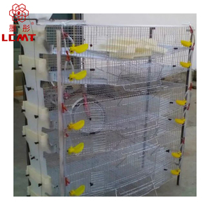 Progettazione di Allevamenti Avicoli e Attrezzature per l'Allevamento di Quaglie per Produttori di Pollame e Quaglie - Product Image 6
