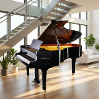 Maison de luxe avec grand piano sous l'escalier