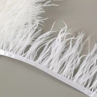 Offre Spéciale – 70 Couleurs Disponibles – Plumes d'autruche teintées en vrac, 8-10 cm, pour la confection de jupes, robes, costumes de fête et la danse