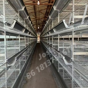 Nuevo Equipo Avícola XF 2020: Jaula Automática Galvanizada Tipo A para Gallinas Ponedoras, Capacidad para 80 Aves por Set - Product Image 5
